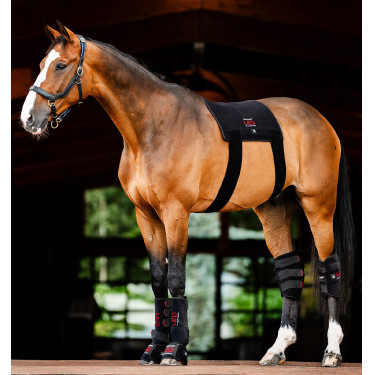 Tapis LED rouge Horseware pour thérapie équine