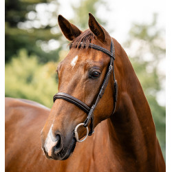 Bridon Horseware Hunter Marron / havane