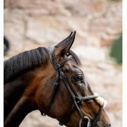 Bridon Grackle en forme de 8 Horseware muserolle croisée Marron Bridon Grackle en forme de 8 Horseware muserolle croisée Marron