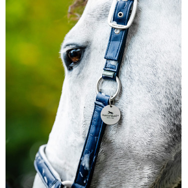 Licol de Pansage Horseware Marine Bleu marine Licol de Pansage Horseware Marine Bleu marine