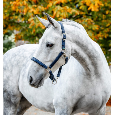 Licol de Pansage Horseware Marine Bleu marine Licol de Pansage Horseware Marine Bleu marine