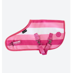 Couverture pour Crafty Ponies Horseware Newmarket Rose witney
