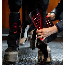 Guêtres de thérapie LED pour chevaux Horseware – équitation Guêtres de thérapie LED pour chevaux Horseware – équitation