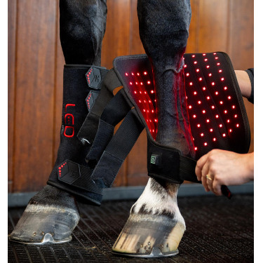 Guêtres de thérapie LED pour chevaux Horseware – équitation Guêtres de thérapie LED pour chevaux Horseware – équitation