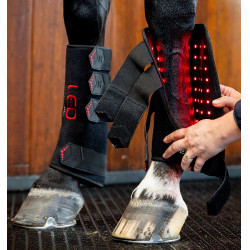 Guêtres de thérapie LED pour chevaux Horseware – équitation Guêtres de thérapie LED pour chevaux Horseware – équitation