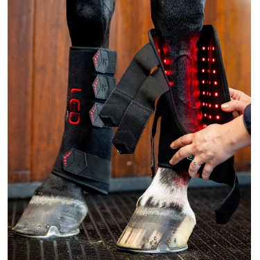 Guêtres de thérapie LED pour chevaux Horseware – équitation Guêtres de thérapie LED pour chevaux Horseware – équitation