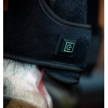 Guêtres de thérapie LED pour chevaux Horseware – équitation Guêtres de thérapie LED pour chevaux Horseware – équitation