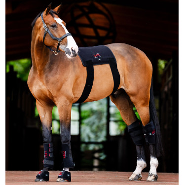 Guêtres de thérapie LED pour chevaux Horseware – équitation Guêtres de thérapie LED pour chevaux Horseware – équitation