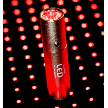 Stylet LED rouge pour thérapie équine Horseware