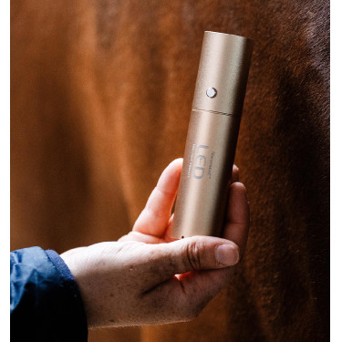 Stylet LED rouge pour thérapie équine Horseware