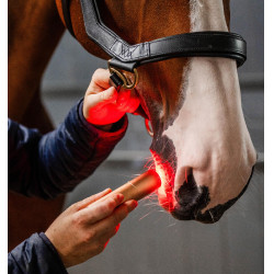 Stylet LED rouge pour thérapie équine Horseware