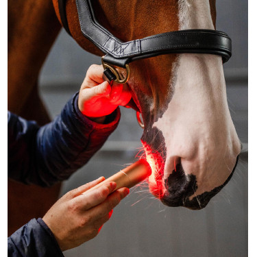 Stylet LED rouge pour thérapie équine Horseware