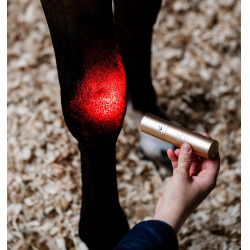 Stylet LED rouge pour thérapie équine Horseware