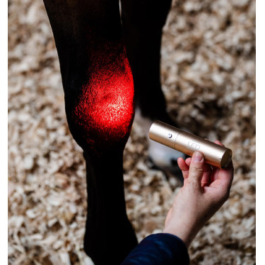 Stylet LED rouge pour thérapie équine Horseware