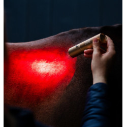 Stylet LED rouge pour thérapie équine Horseware