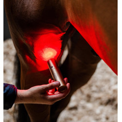 Stylet LED rouge pour thérapie équine Horseware