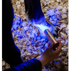 Stylet LED rouge pour thérapie équine Horseware
