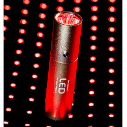 Stylet LED rouge pour thérapie équine Horseware