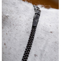 Rênes Horseware tressées Marron