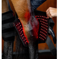 Protège-jarret cheval LED rouge Horseware – thérapie