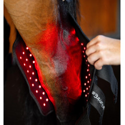 Protège-jarret cheval LED rouge Horseware – thérapie