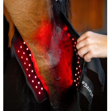 Protège-jarret cheval LED rouge Horseware – thérapie