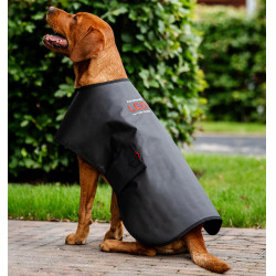 Manteau de thérapie LED pour chien Horseware – équitation