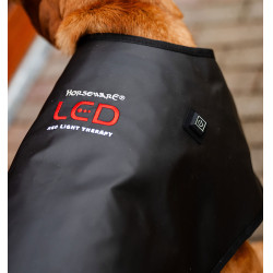 Manteau de thérapie LED pour chien Horseware – équitation