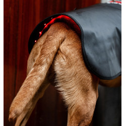 Manteau de thérapie LED pour chien Horseware – équitation