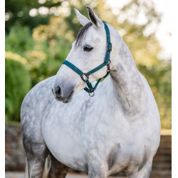 Licol et longe Horseware Vert dynastie