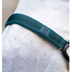 Licol et longe Horseware Vert dynastie
