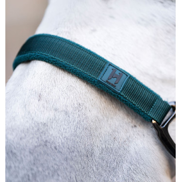 Licol et longe Horseware Vert dynastie