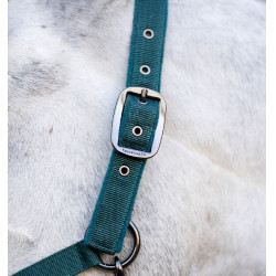 Licol et longe Horseware Vert dynastie
