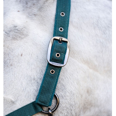 Licol et longe Horseware Vert dynastie