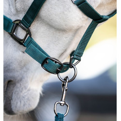 Licol et longe Horseware Vert dynastie