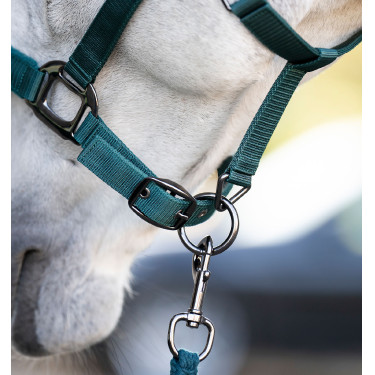Licol et longe Horseware Vert dynastie