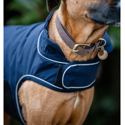 Manteau imperméable chien Horseware 100g – équitation Manteau imperméable chien Horseware 100g – équitation