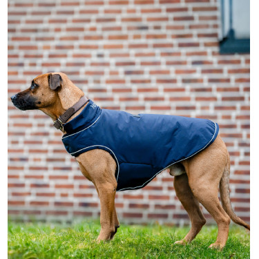Manteau imperméable chien Horseware 100g – équitation Manteau imperméable chien Horseware 100g – équitation