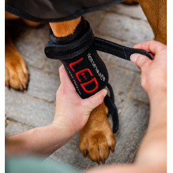 Guêtre LED thérapie pour chien – matériel d’équitation Guêtre LED thérapie pour chien – matériel d’équitation