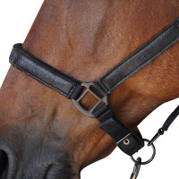 Ensemble Licol + Longe Canter Noir Ensemble Licol + Longe Canter Noir