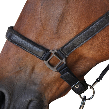 Ensemble Licol + Longe Canter Ensemble Licol + Longe Canter