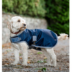 Couverture thérapeutique chien équitation Horseware Ionic