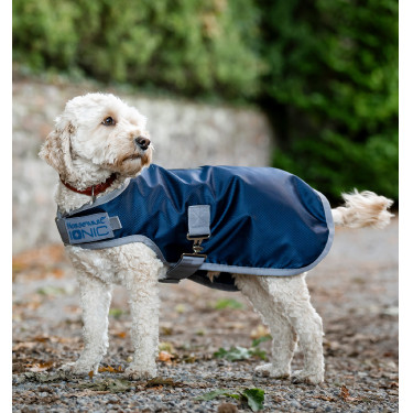 Couverture thérapeutique chien équitation Horseware Ionic