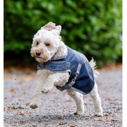 Couverture thérapeutique chien équitation Horseware Ionic