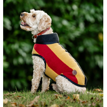 Couverture polaire Horseware Newmarket pour chien Or blanc Couverture polaire Horseware Newmarket pour chien Or blanc