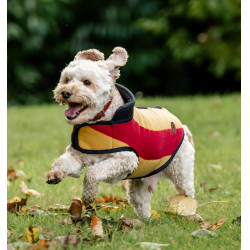 Couverture polaire Horseware Newmarket pour chien Or blanc Couverture polaire Horseware Newmarket pour chien Or blanc