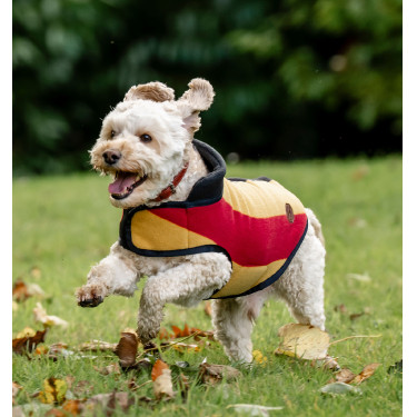Couverture polaire Horseware Newmarket pour chien Or blanc Couverture polaire Horseware Newmarket pour chien Or blanc