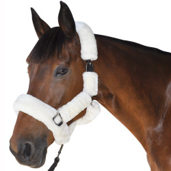 Licol De Transport Canter Naturel Marron Licol De Transport Canter Naturel Marron