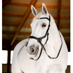 Bridon sans mors d’équitation Micklem Horseware Bridon sans mors d’équitation Micklem Horseware