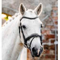 Bridon poney d’équitation Horseware Flash en cuir